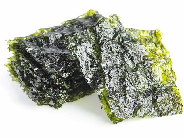 جلبک سوشی اصل چیست؟ | راهنمای کامل خرید جلبک نوری (Nori) و تشخیص کیفیت